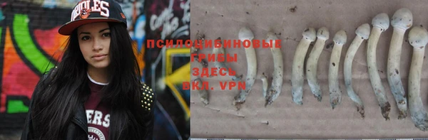 индика Армянск