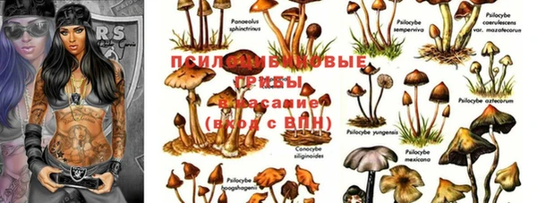индика Армянск