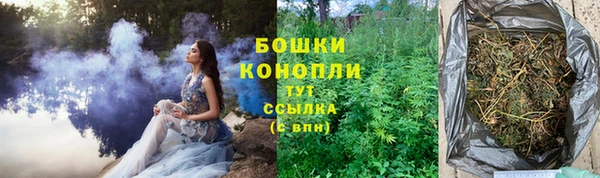 хмурый Рославль